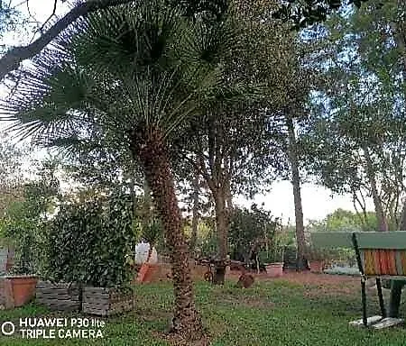 לינה וארוחת בוקר Su Matutzu San Giovanni Suèrgiu